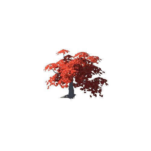 Maple Tree Red Big 03